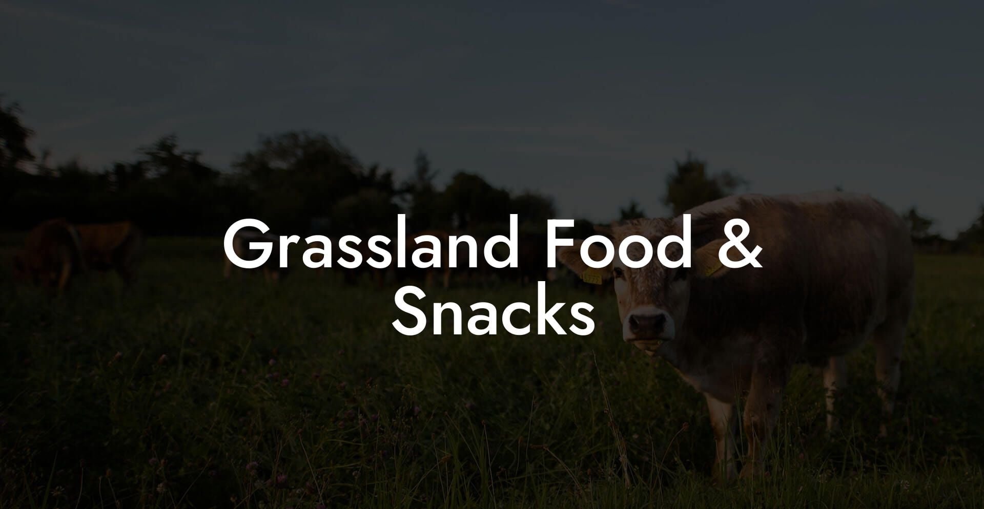 Grassland Food & Snacks