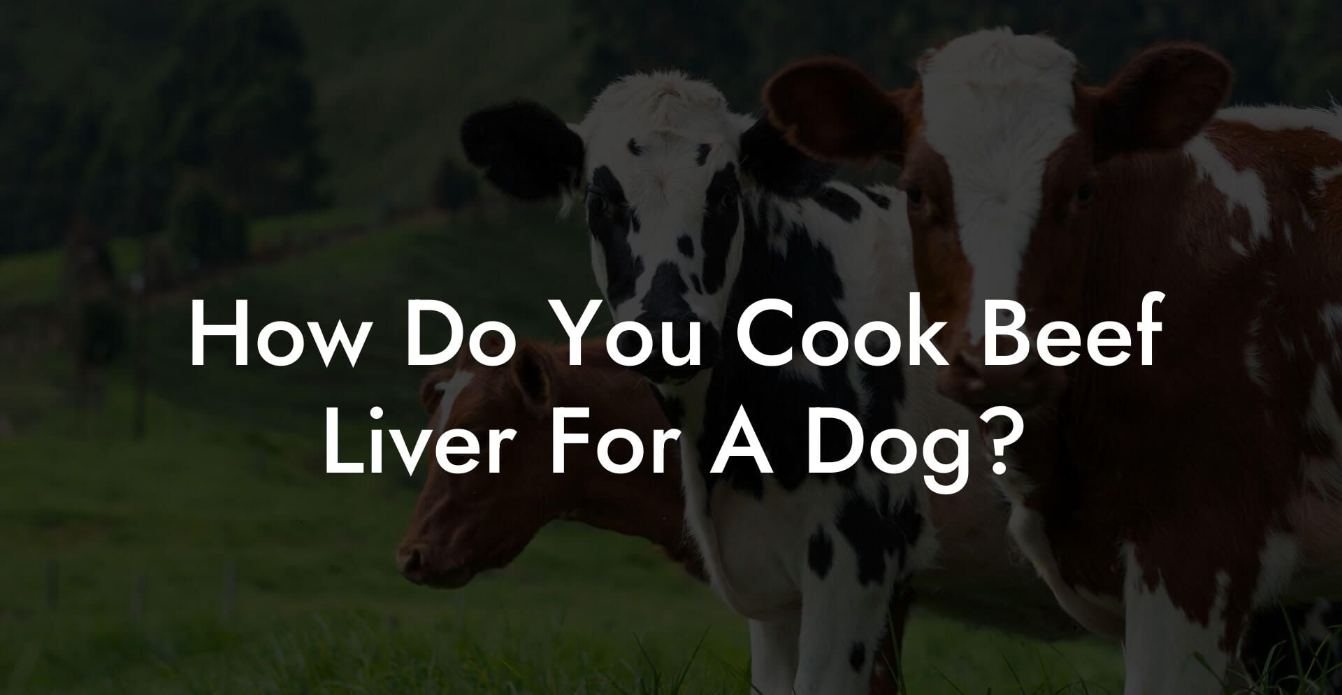 How Do You Cook Beef Liver For A Dog?
