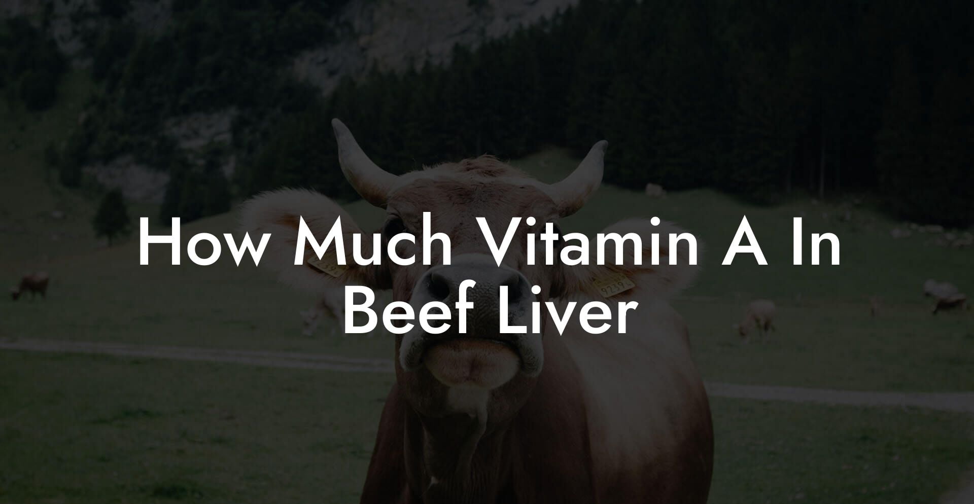 How Much Vitamin A In Beef Liver