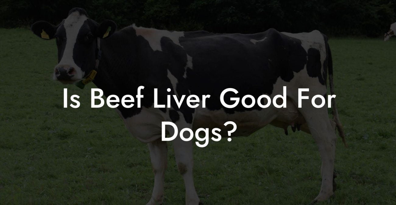 Is Beef Liver Good For Dogs?