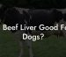 Is Beef Liver Good For Dogs?