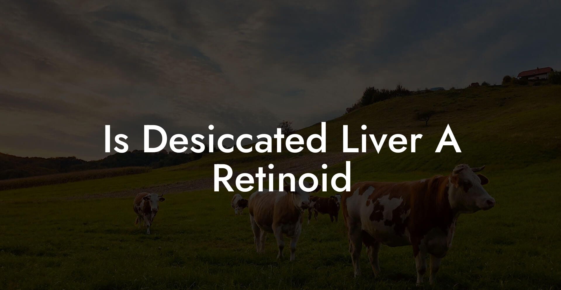 Is Desiccated Liver A Retinoid