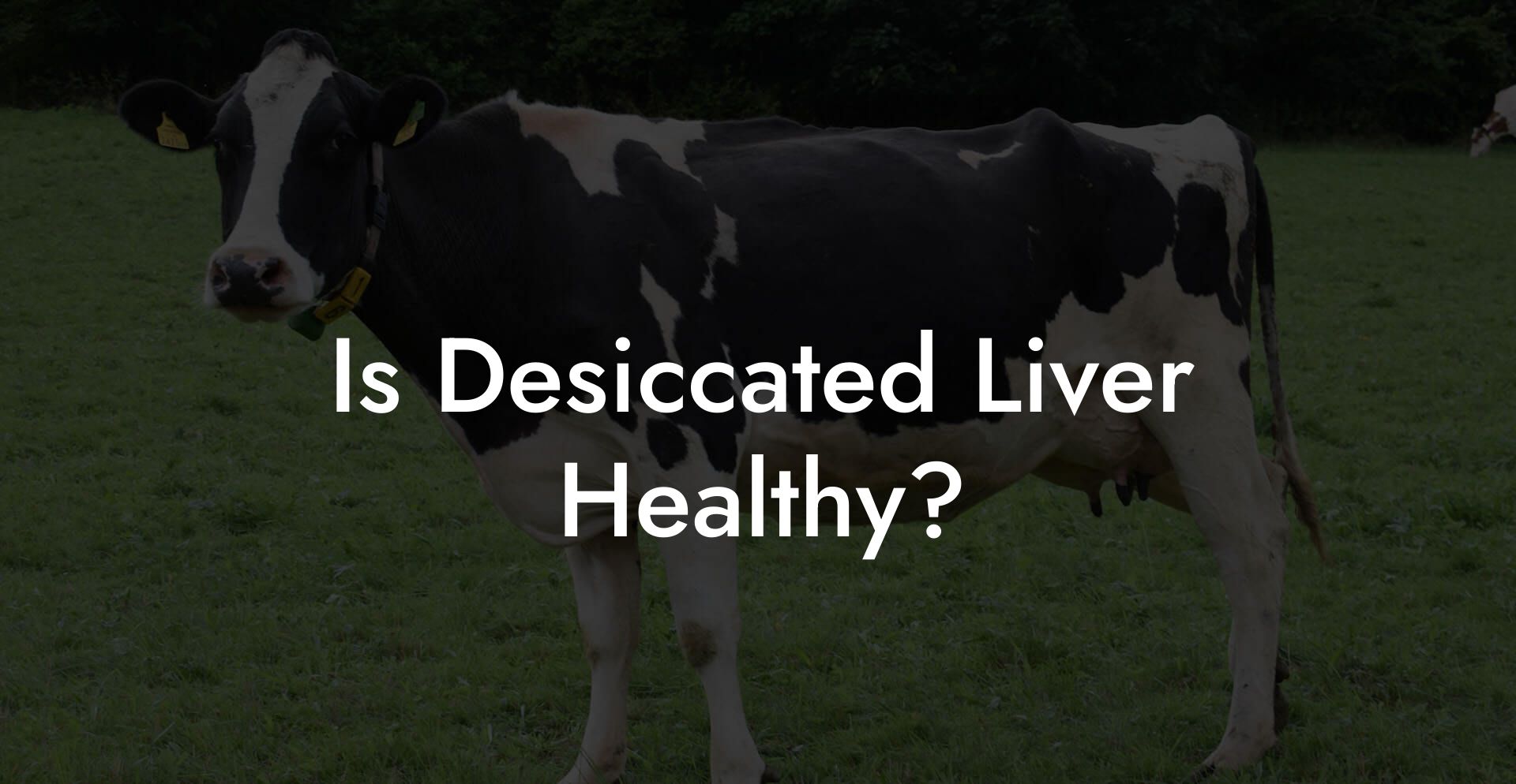 Is Desiccated Liver Healthy?