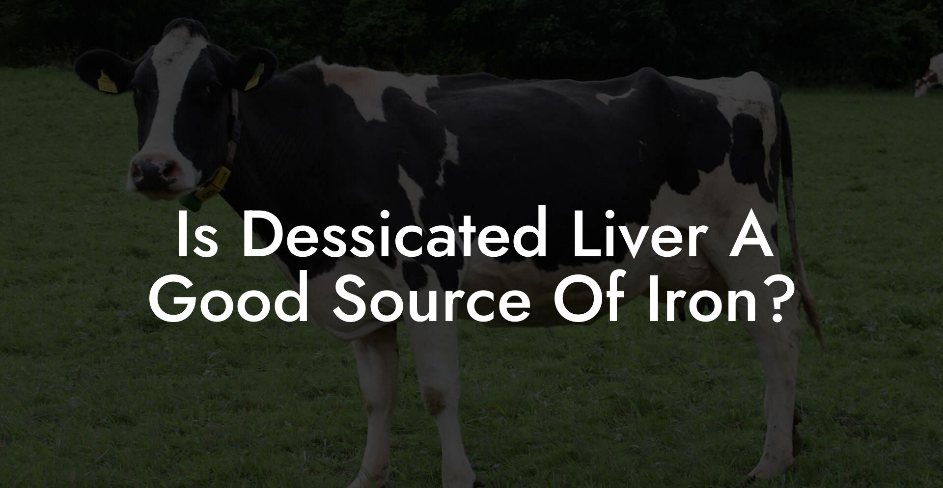 Is Dessicated Liver A Good Source Of Iron?