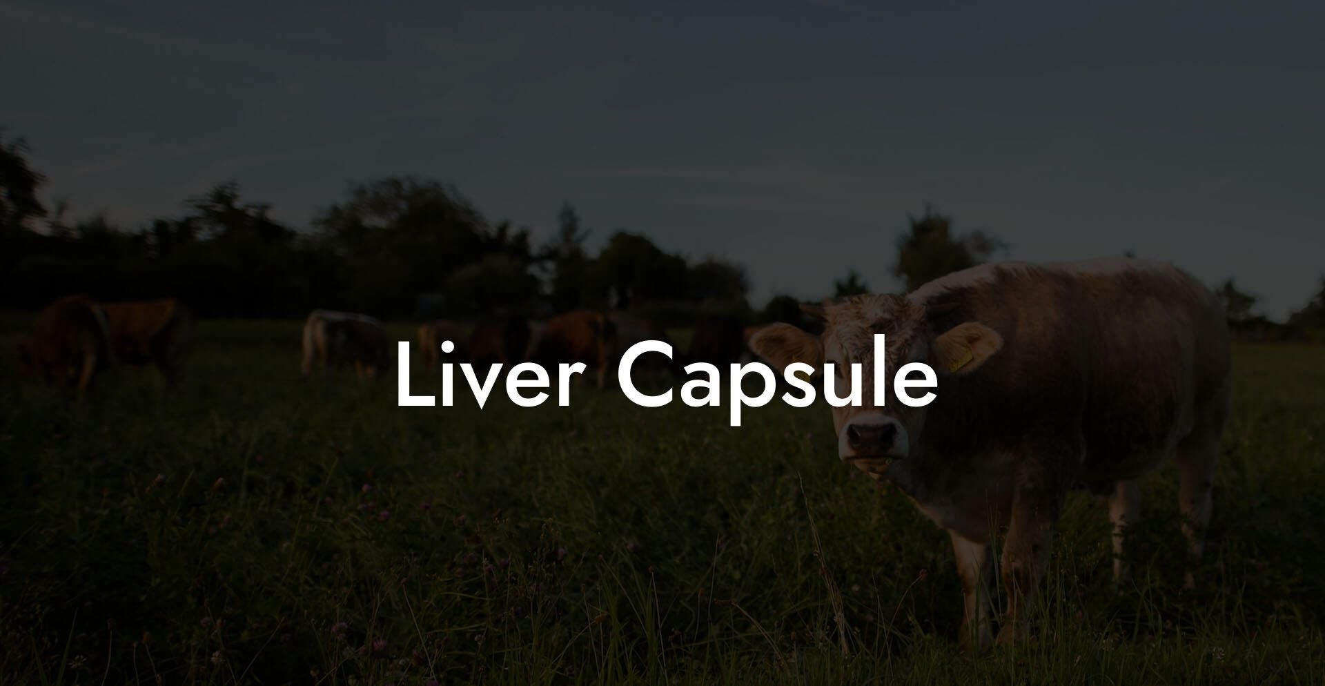 Liver Capsule