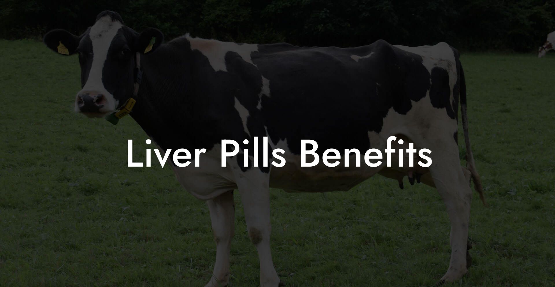 Liver Pills Benefits