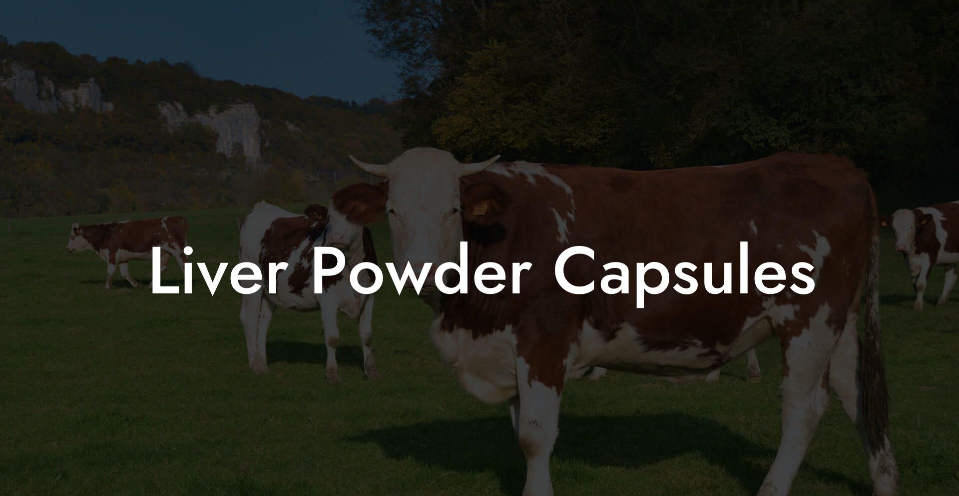 Liver Powder Capsules