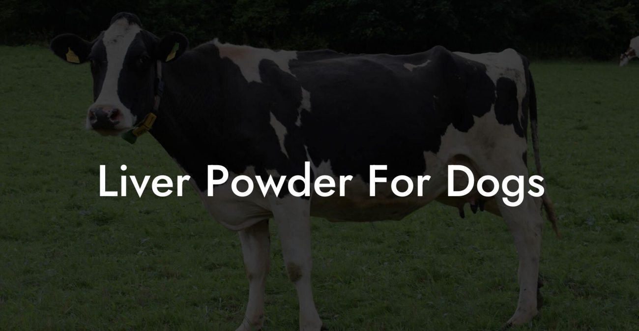 Liver Powder For Dogs