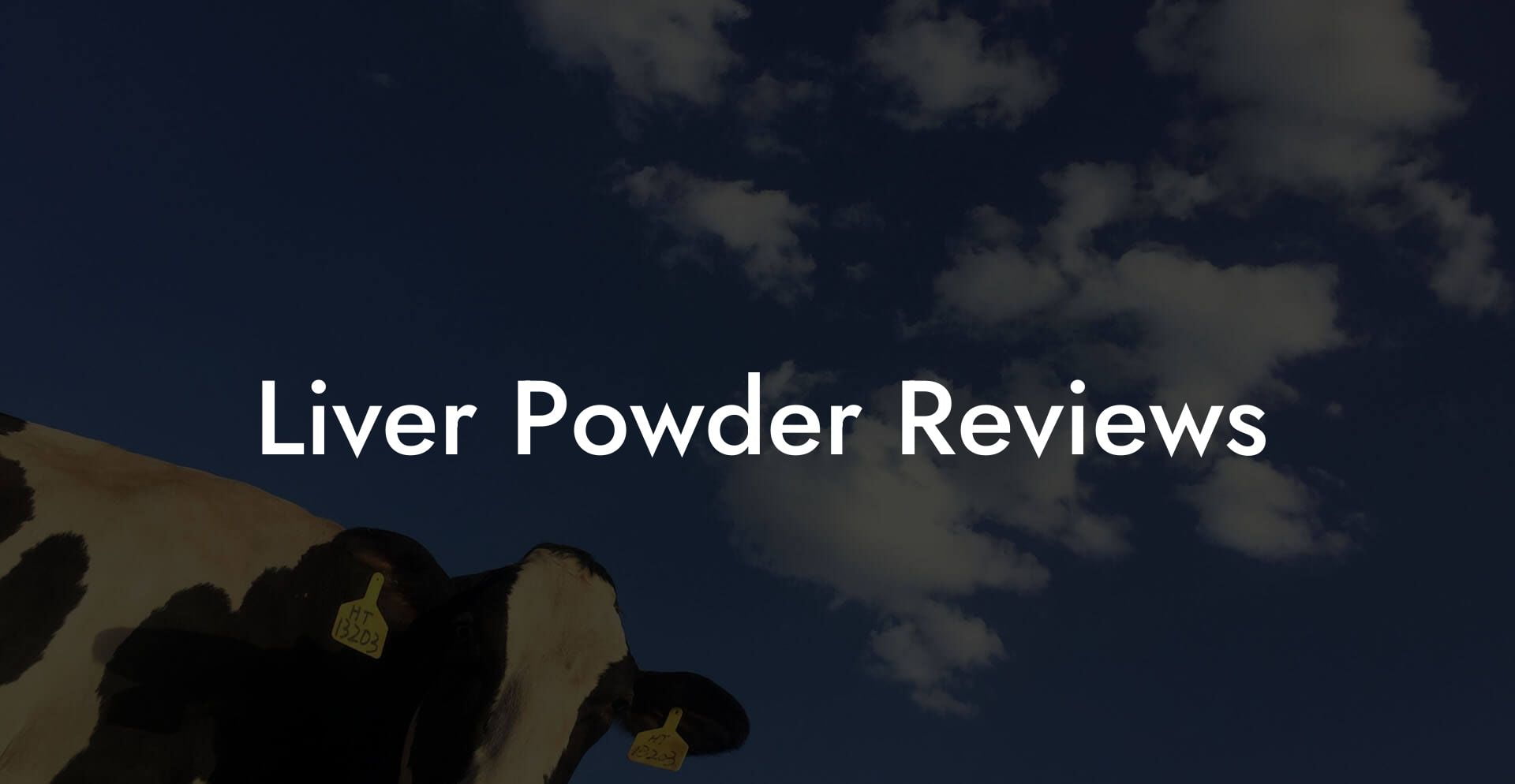 Liver Powder Reviews