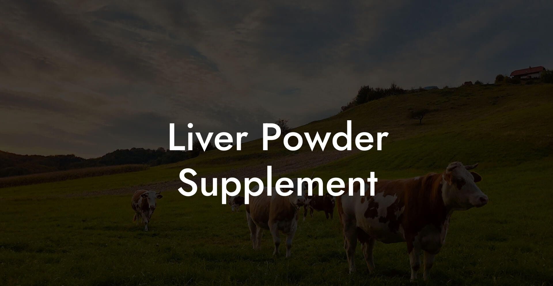 Liver Powder Supplement