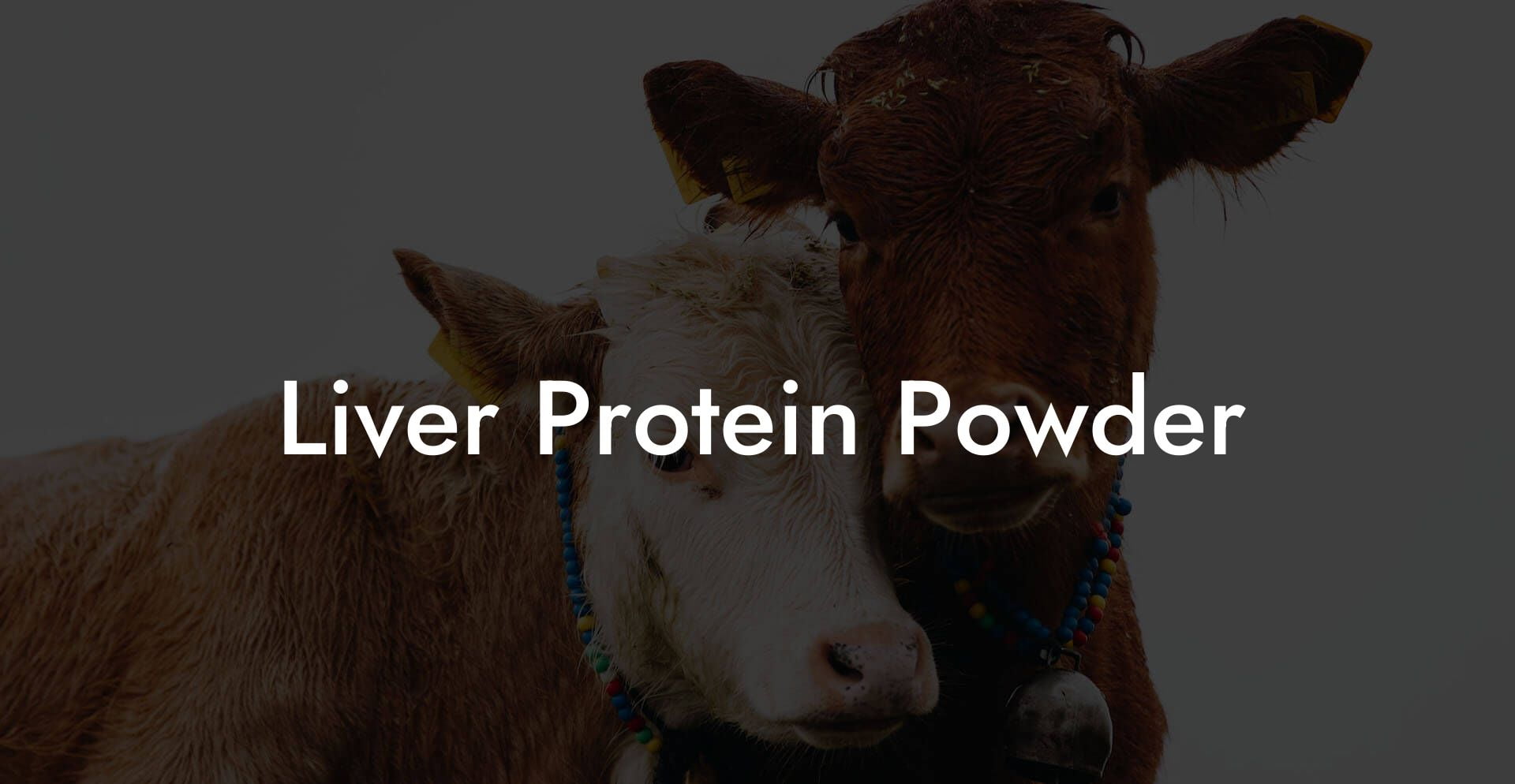 Liver Protein Powder