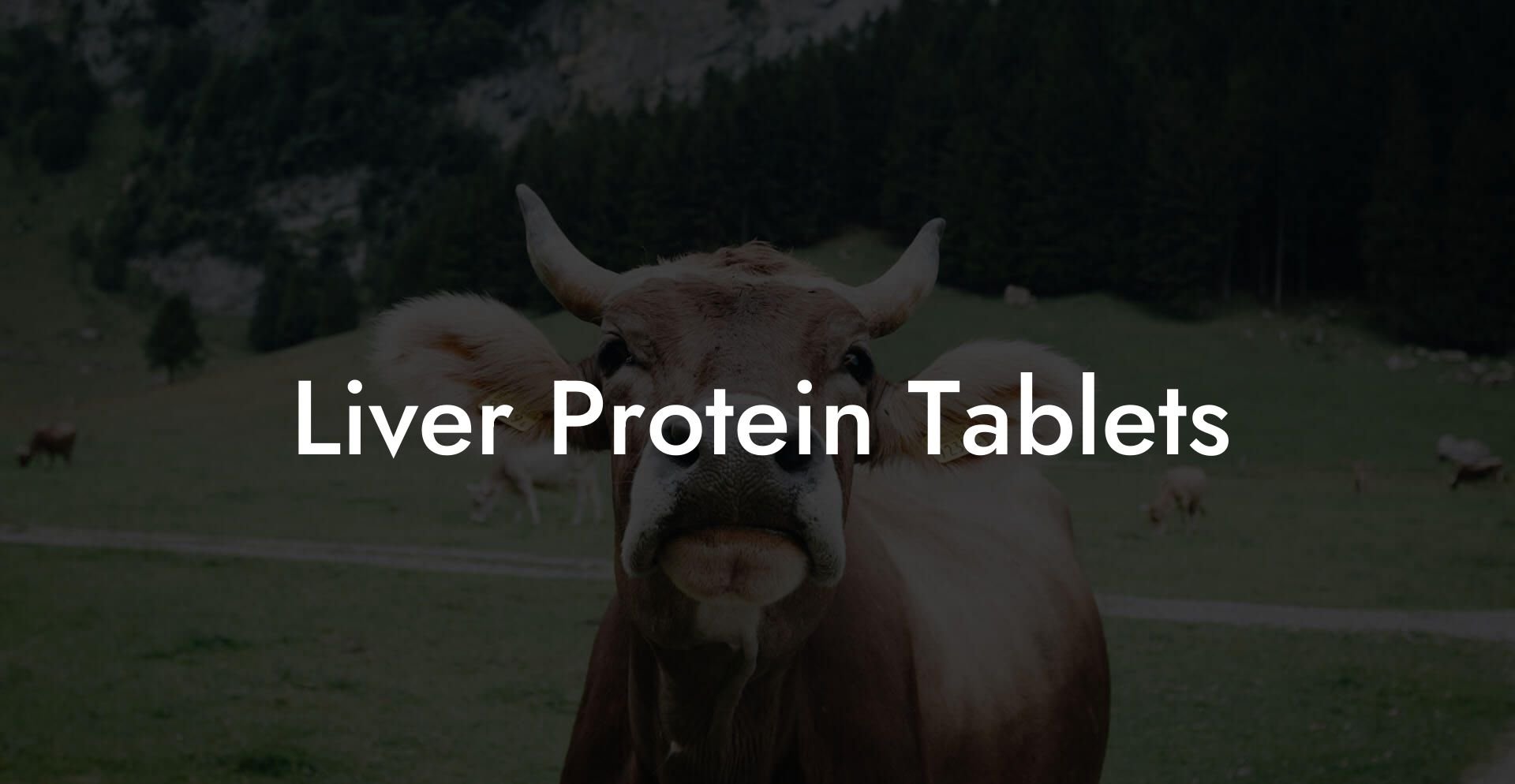 Liver Protein Tablets