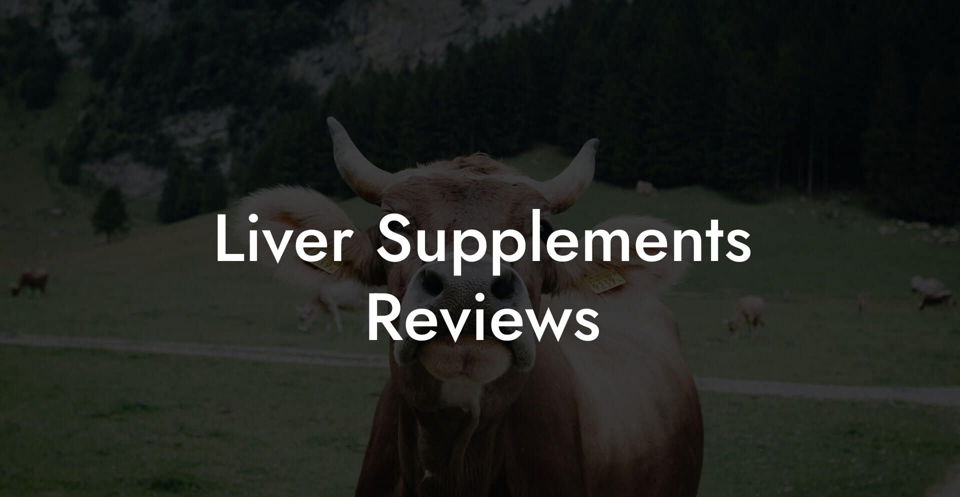 Liver Supplements Reviews