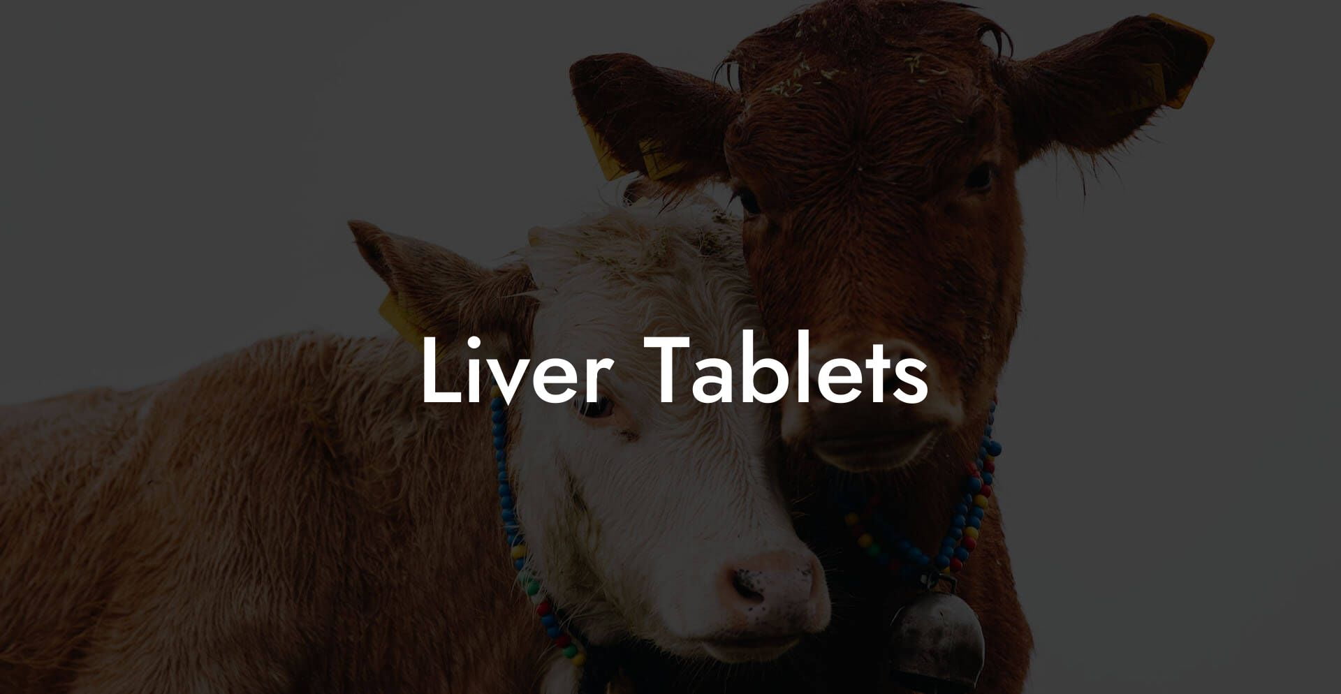 Liver Tablets
