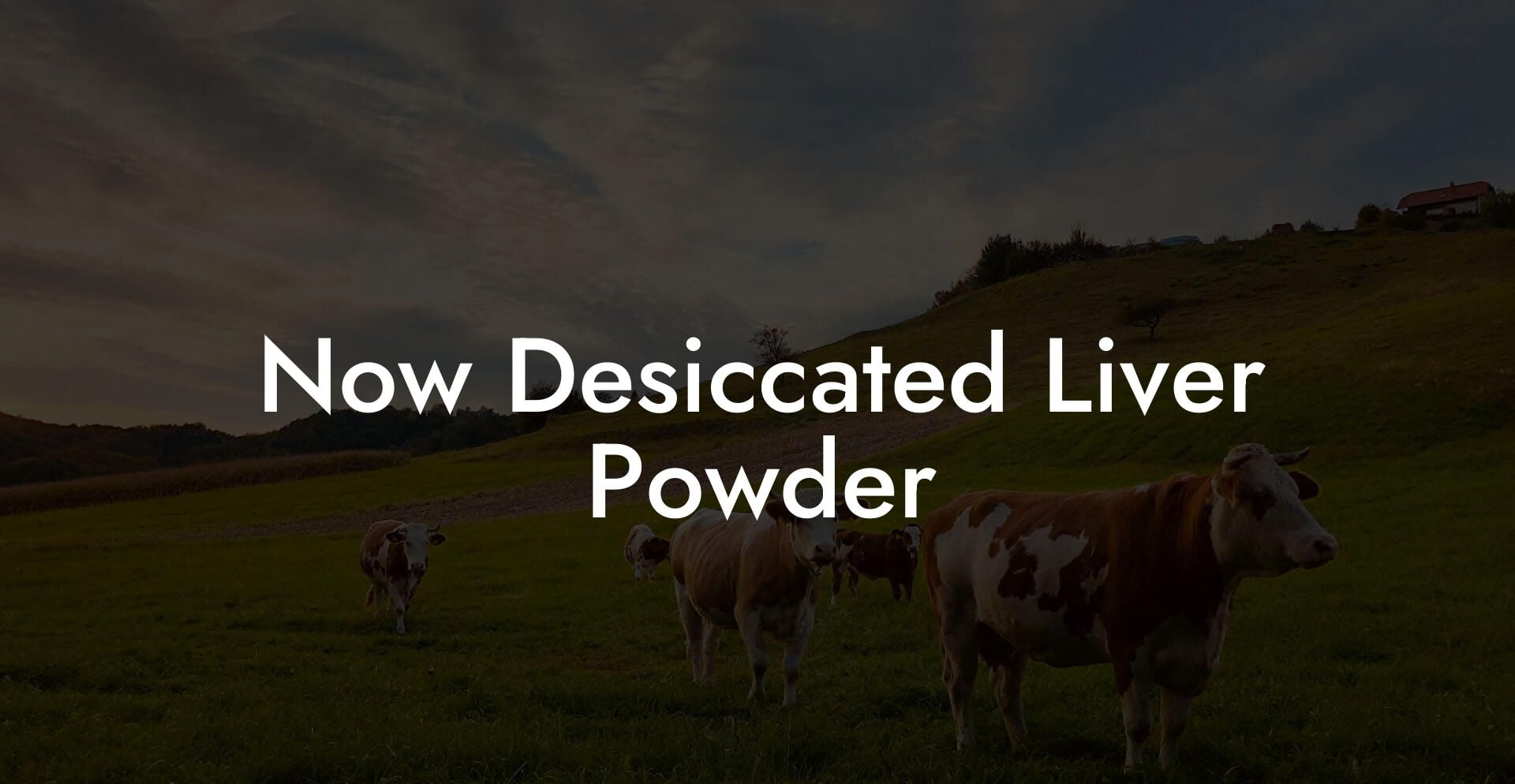 Now Desiccated Liver Powder