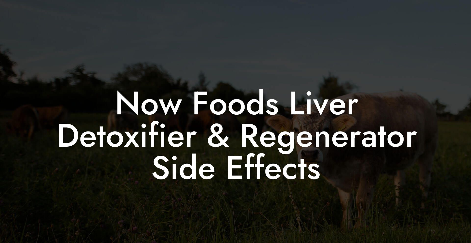 Now Foods Liver Detoxifier & Regenerator Side Effects