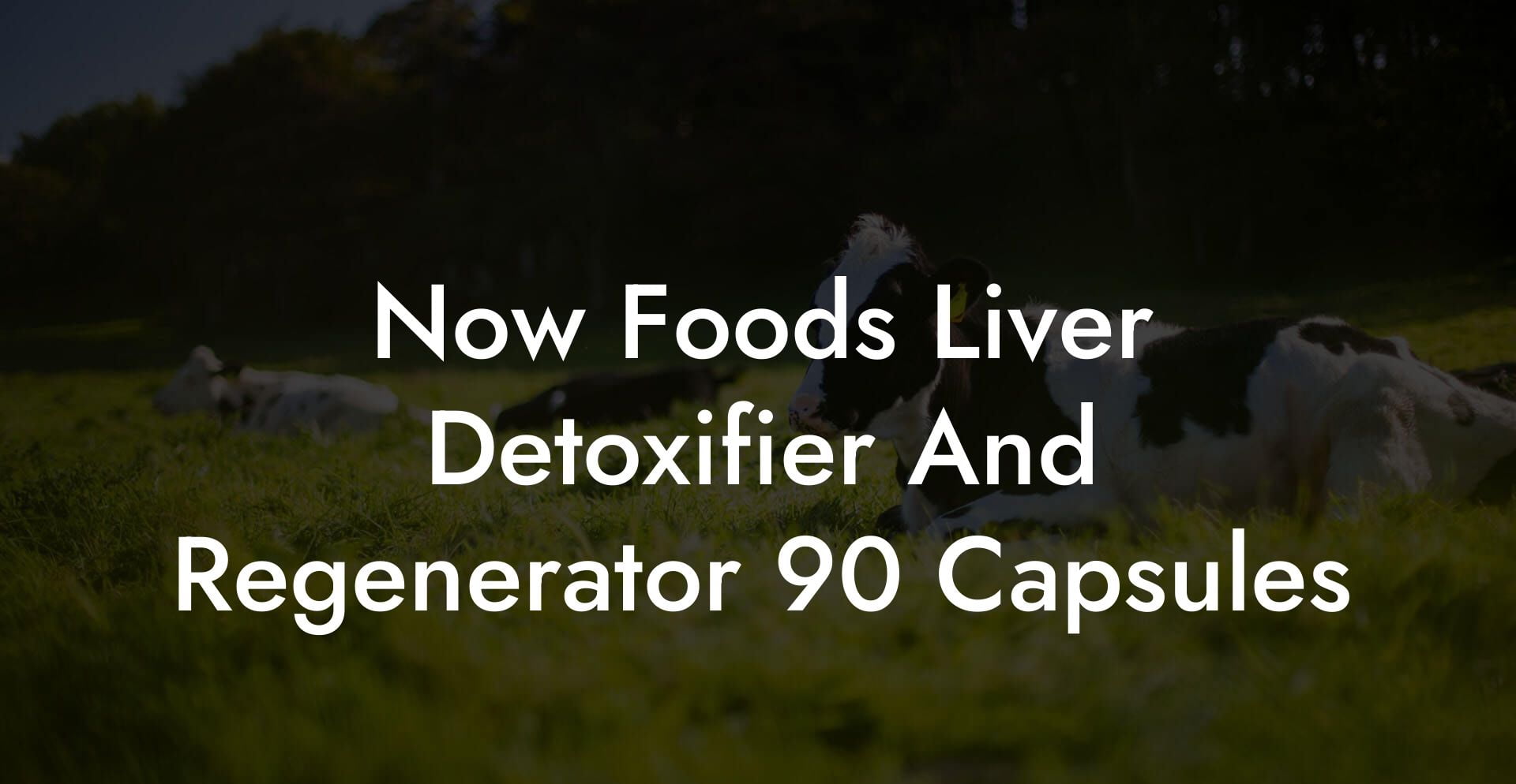Now Foods Liver Detoxifier And Regenerator 90 Capsules
