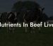 Nutrients In Beef Liver