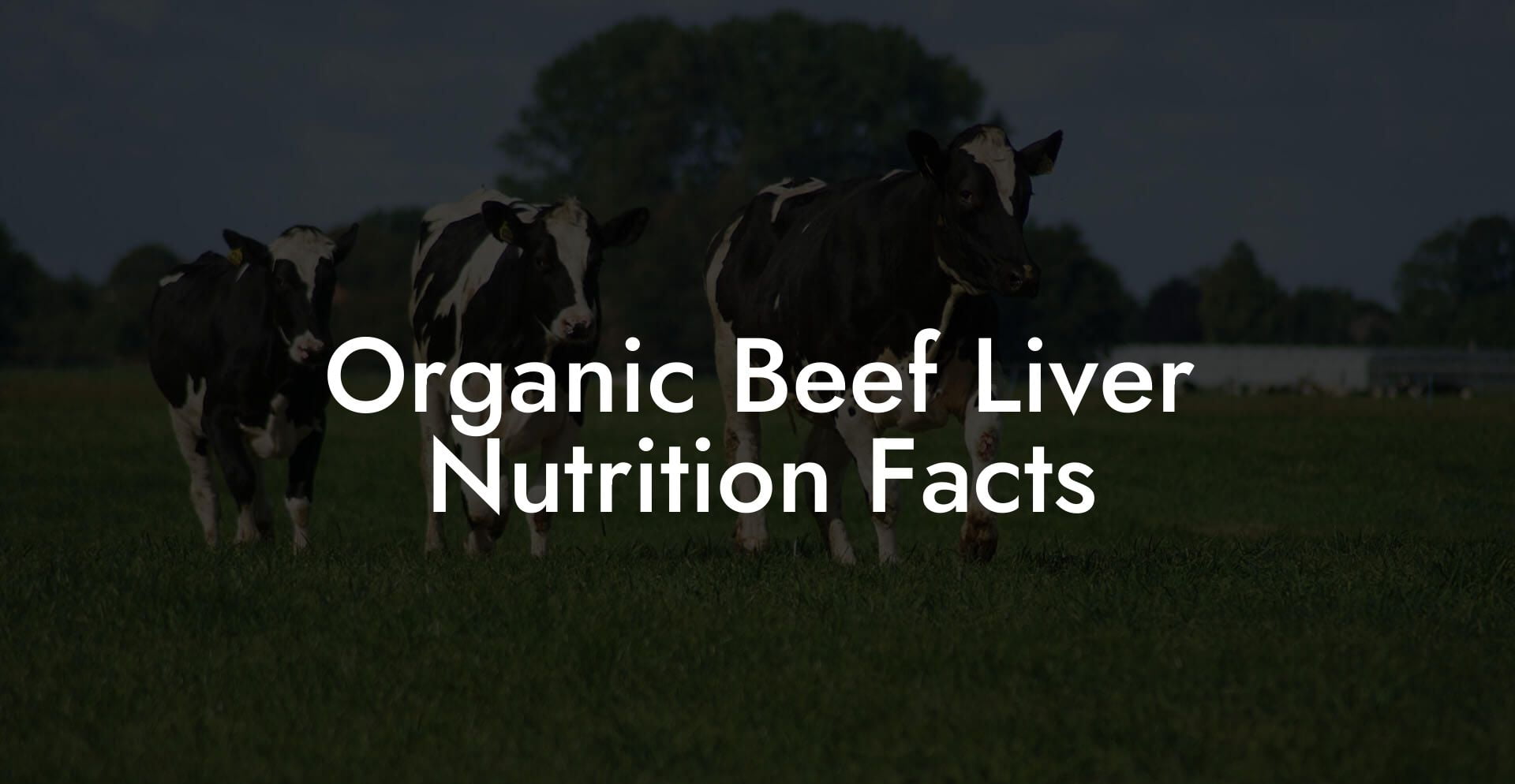 Organic Beef Liver Nutrition Facts