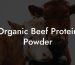 Organic Beef Protein Powder