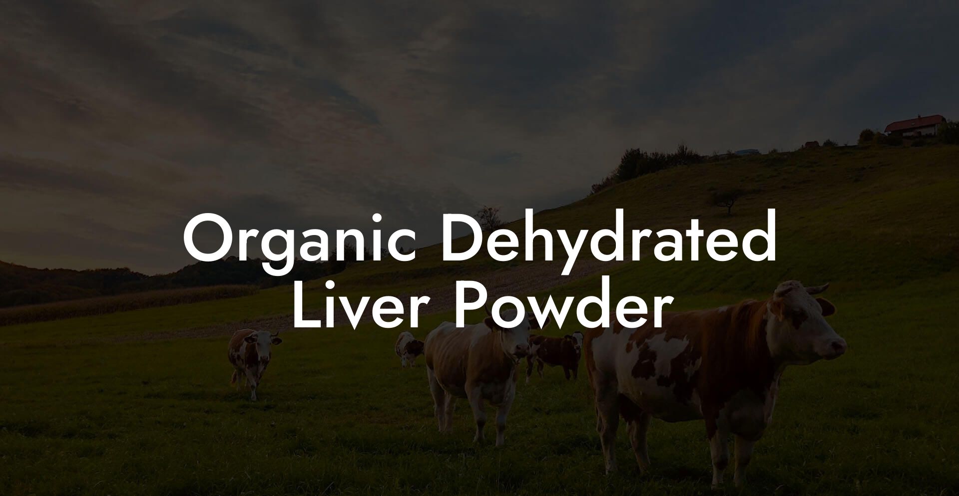 Organic Dehydrated Liver Powder