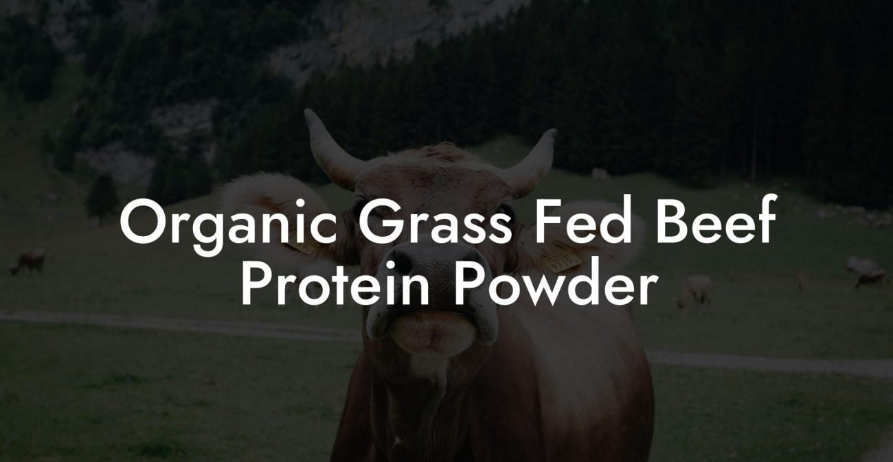 Organic Grass Fed Beef Protein Powder