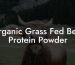 Organic Grass Fed Beef Protein Powder