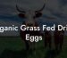Organic Grass Fed Dried Eggs