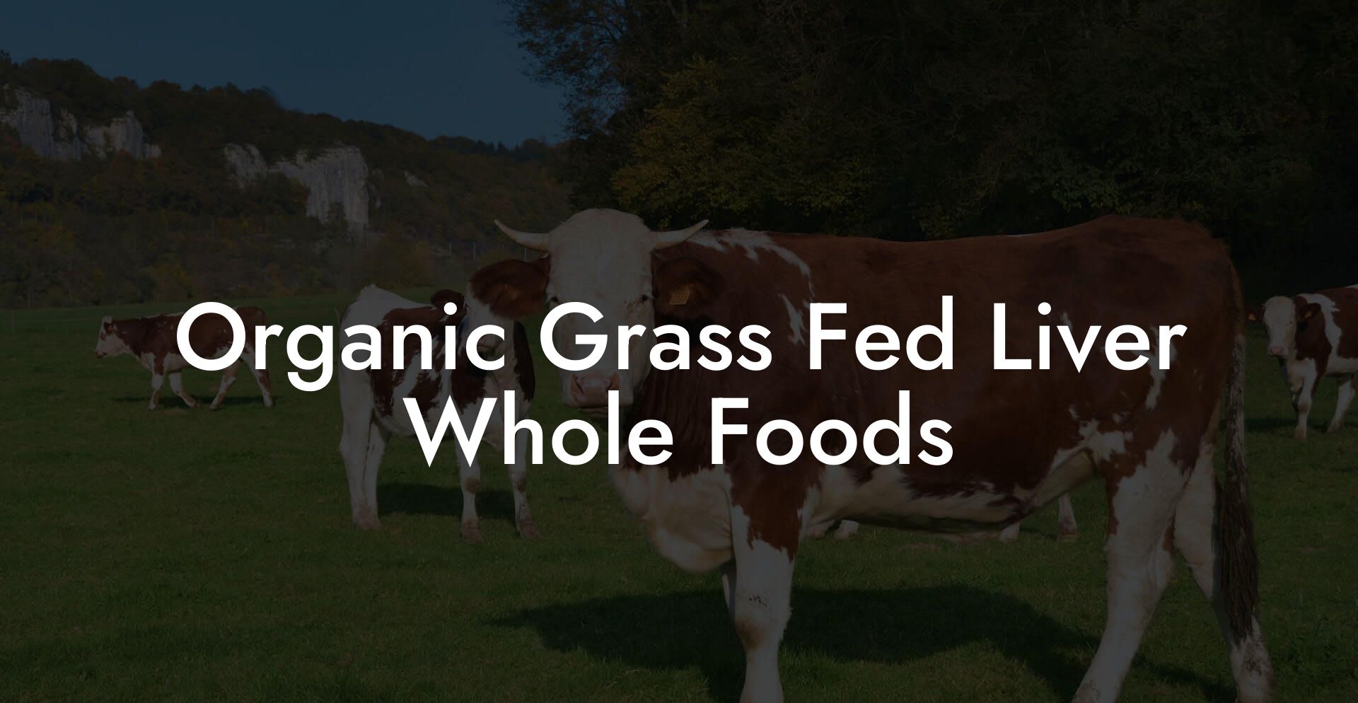Organic Grass Fed Liver Whole Foods