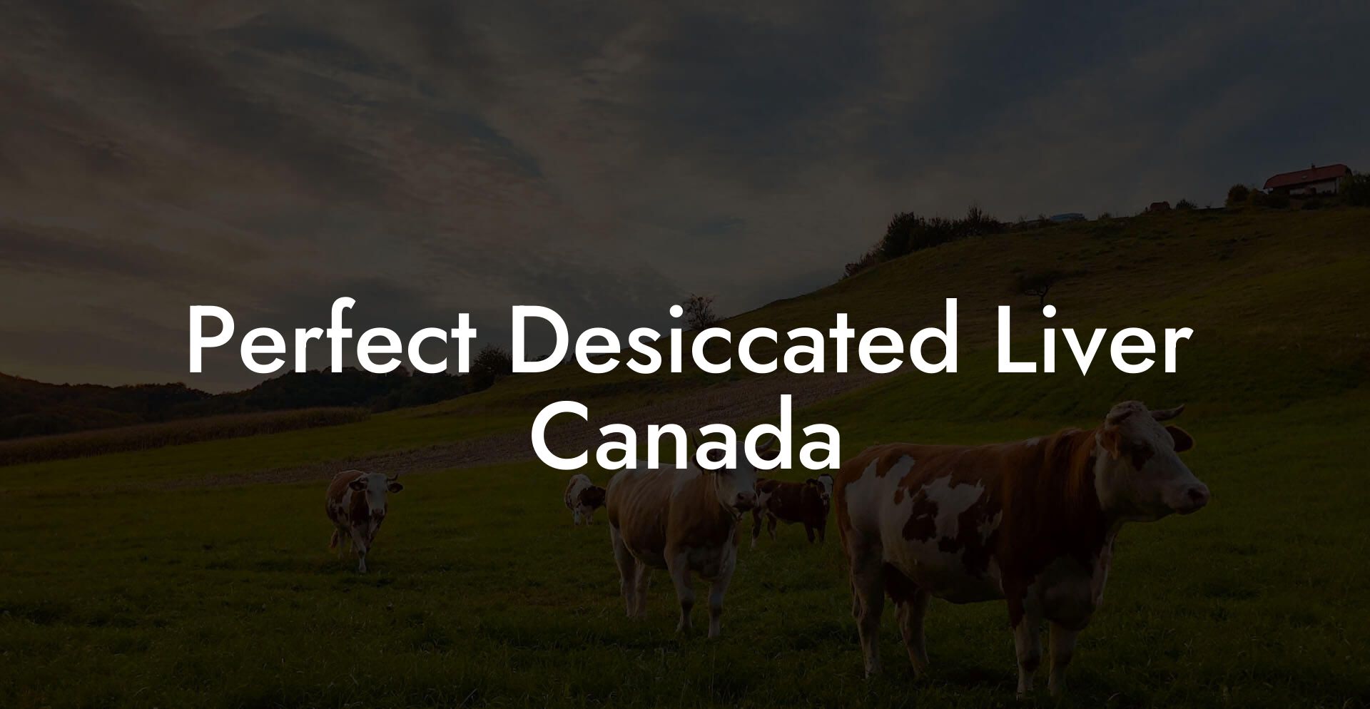 Perfect Desiccated Liver Canada