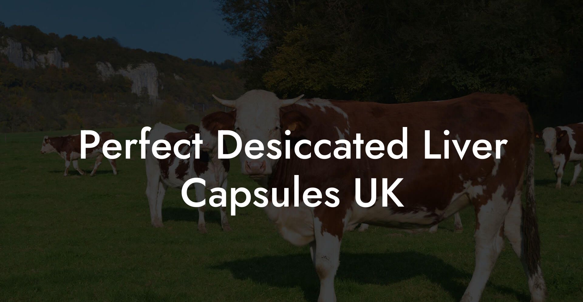 Perfect Desiccated Liver Capsules UK