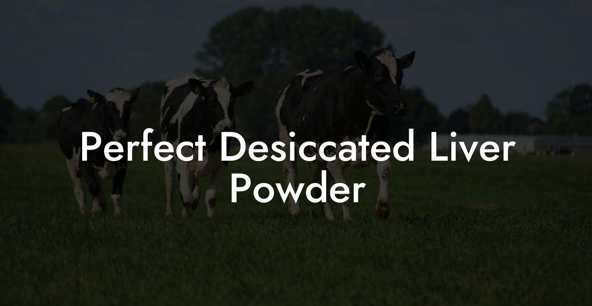 Perfect Desiccated Liver Powder