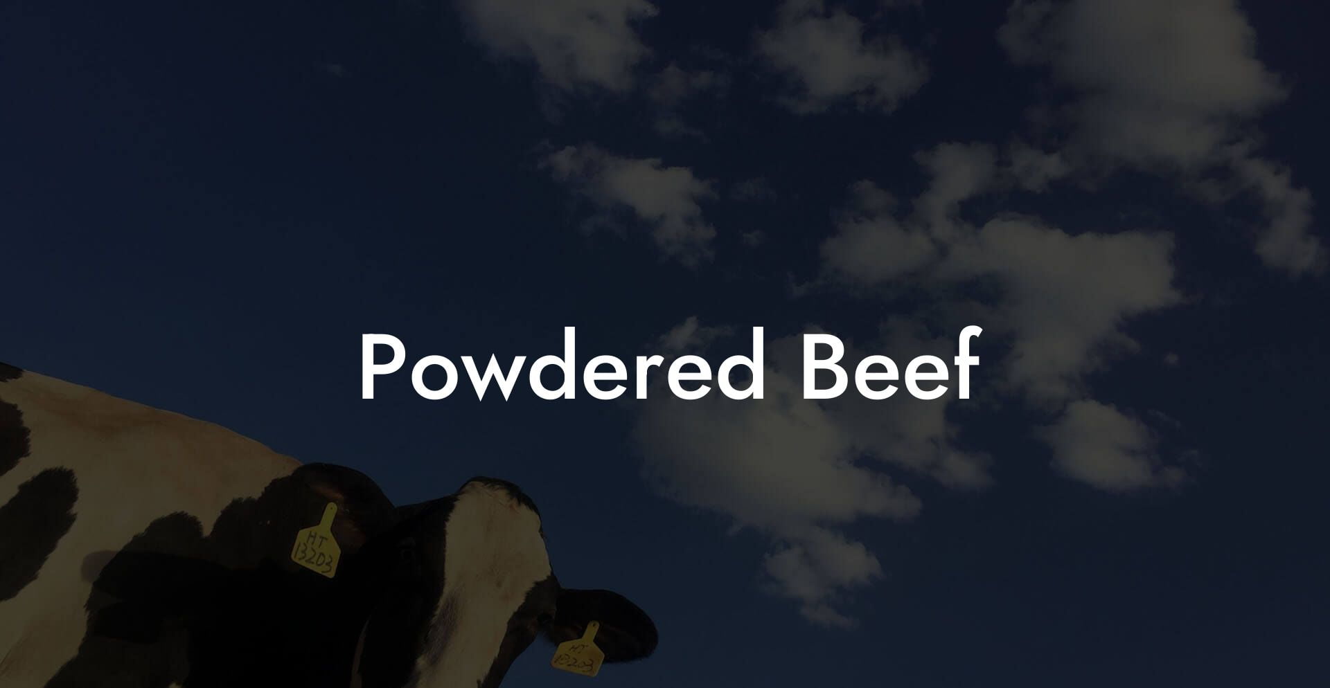 Powdered Beef