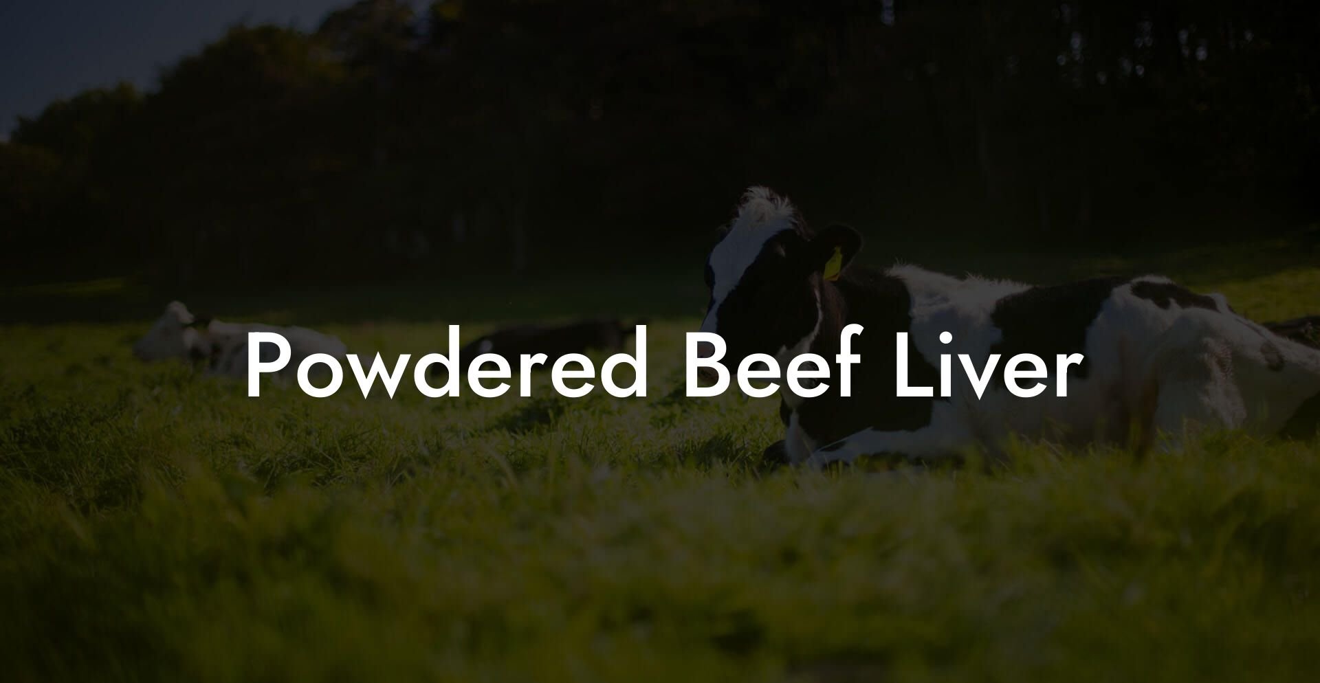 Powdered Beef Liver