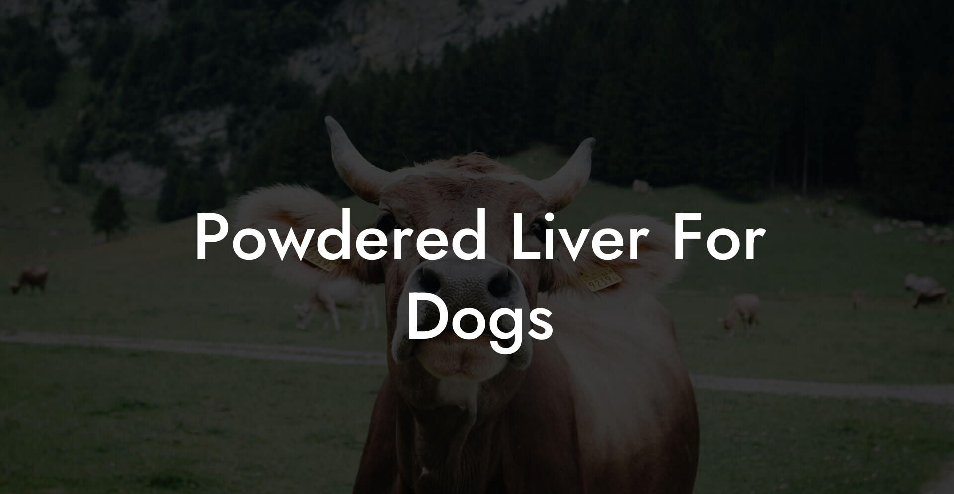 Powdered Liver For Dogs