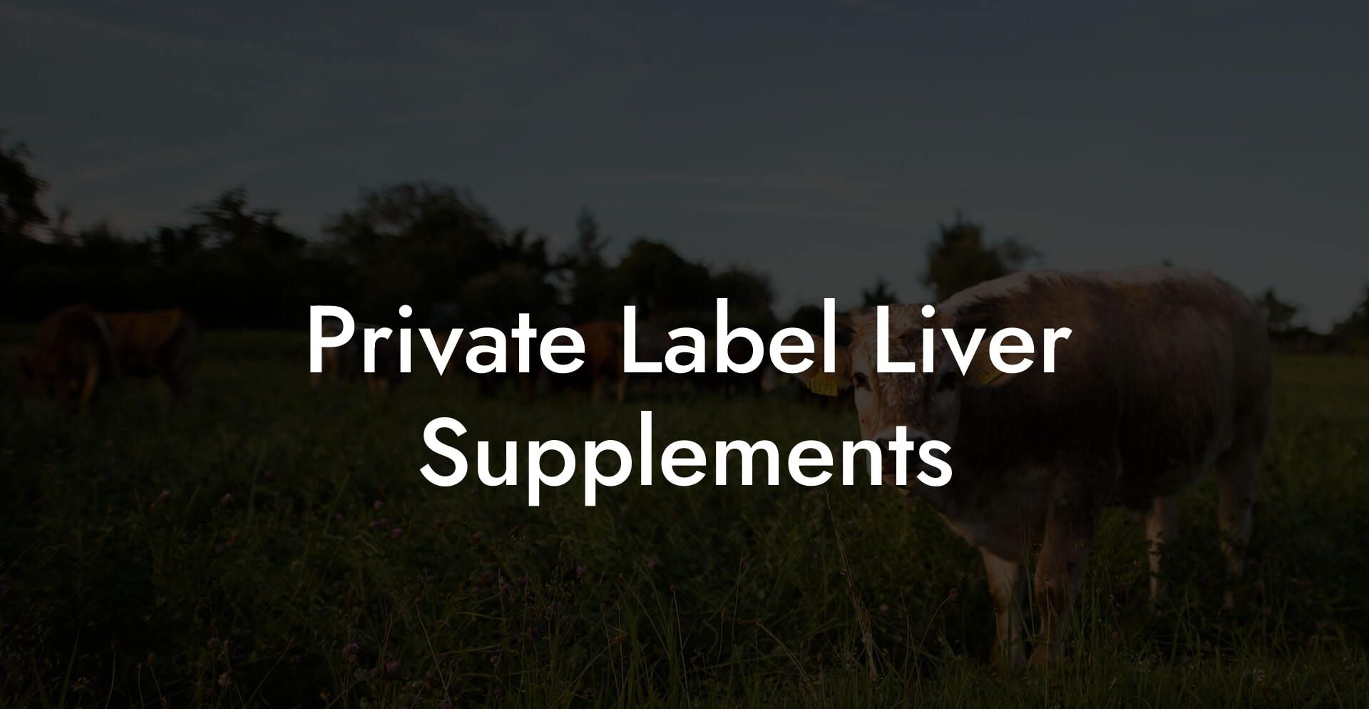 Private Label Liver Supplements