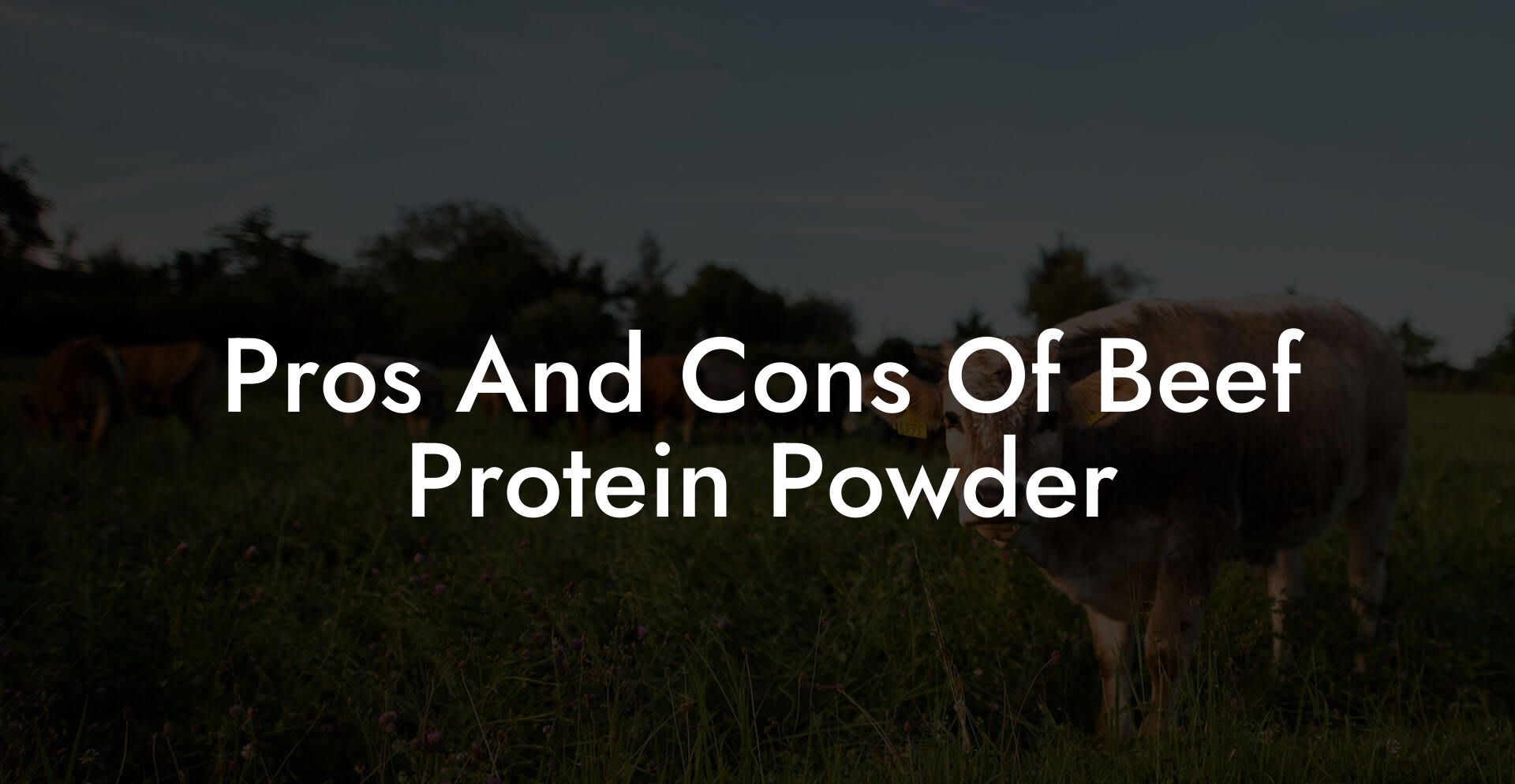 Pros And Cons Of Beef Protein Powder