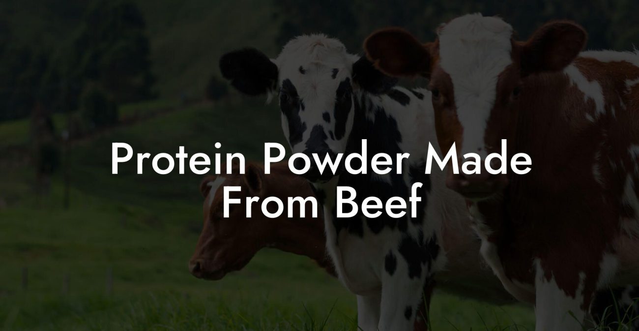 Protein Powder Made From Beef