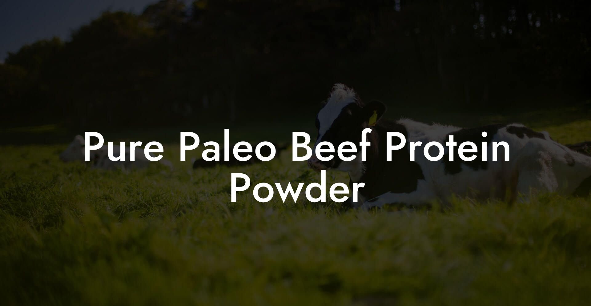 Pure Paleo Beef Protein Powder