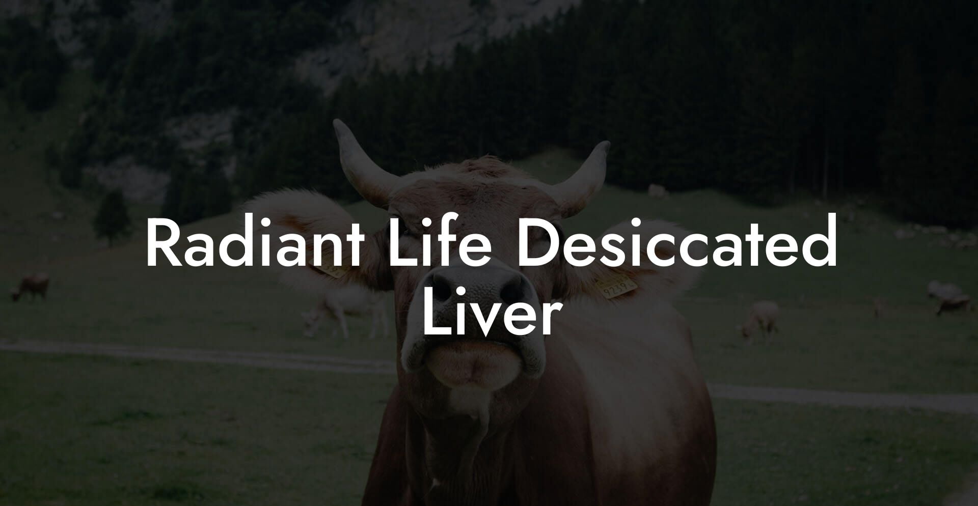 Radiant Life Desiccated Liver