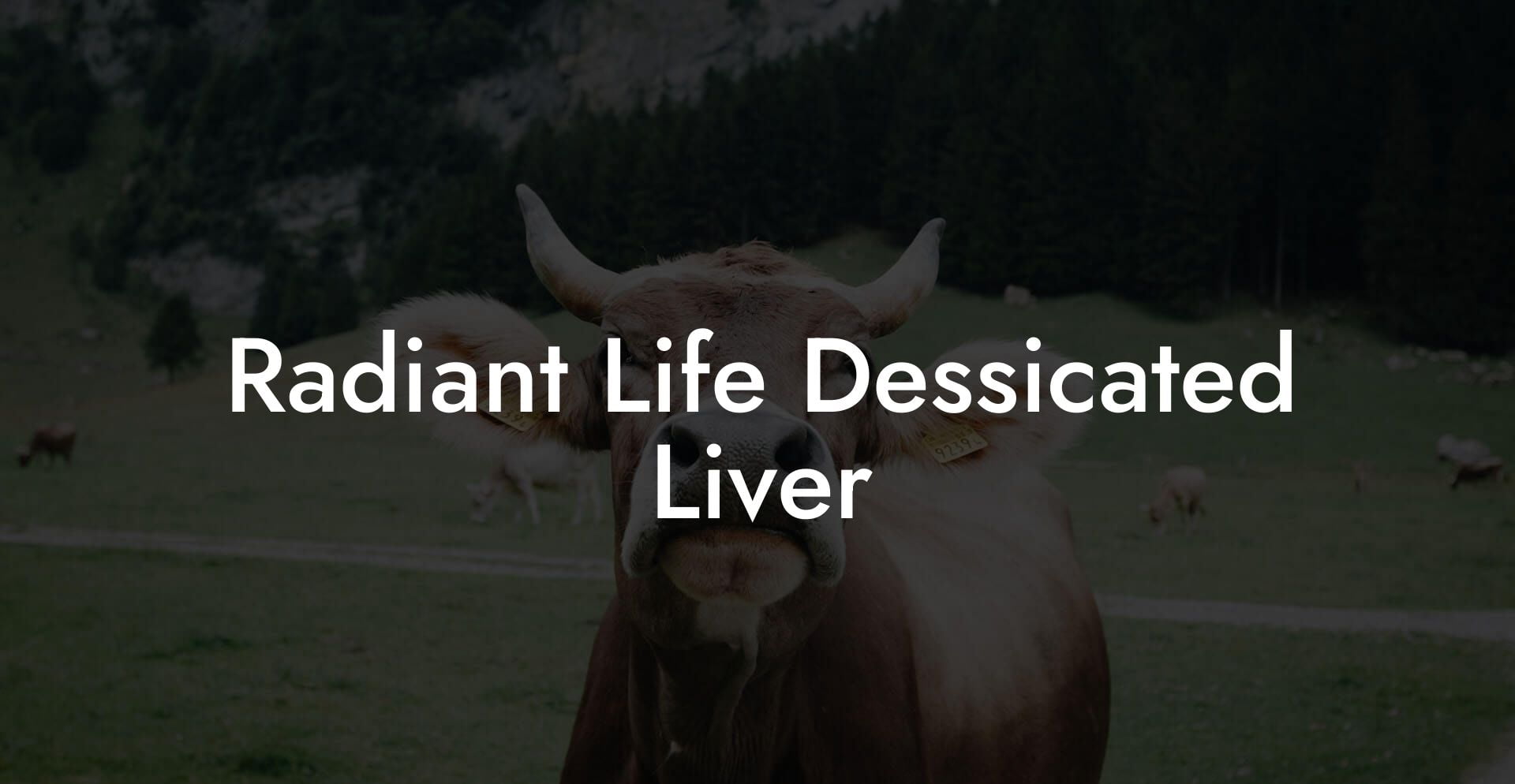 Radiant Life Dessicated Liver