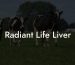 Radiant Life Liver