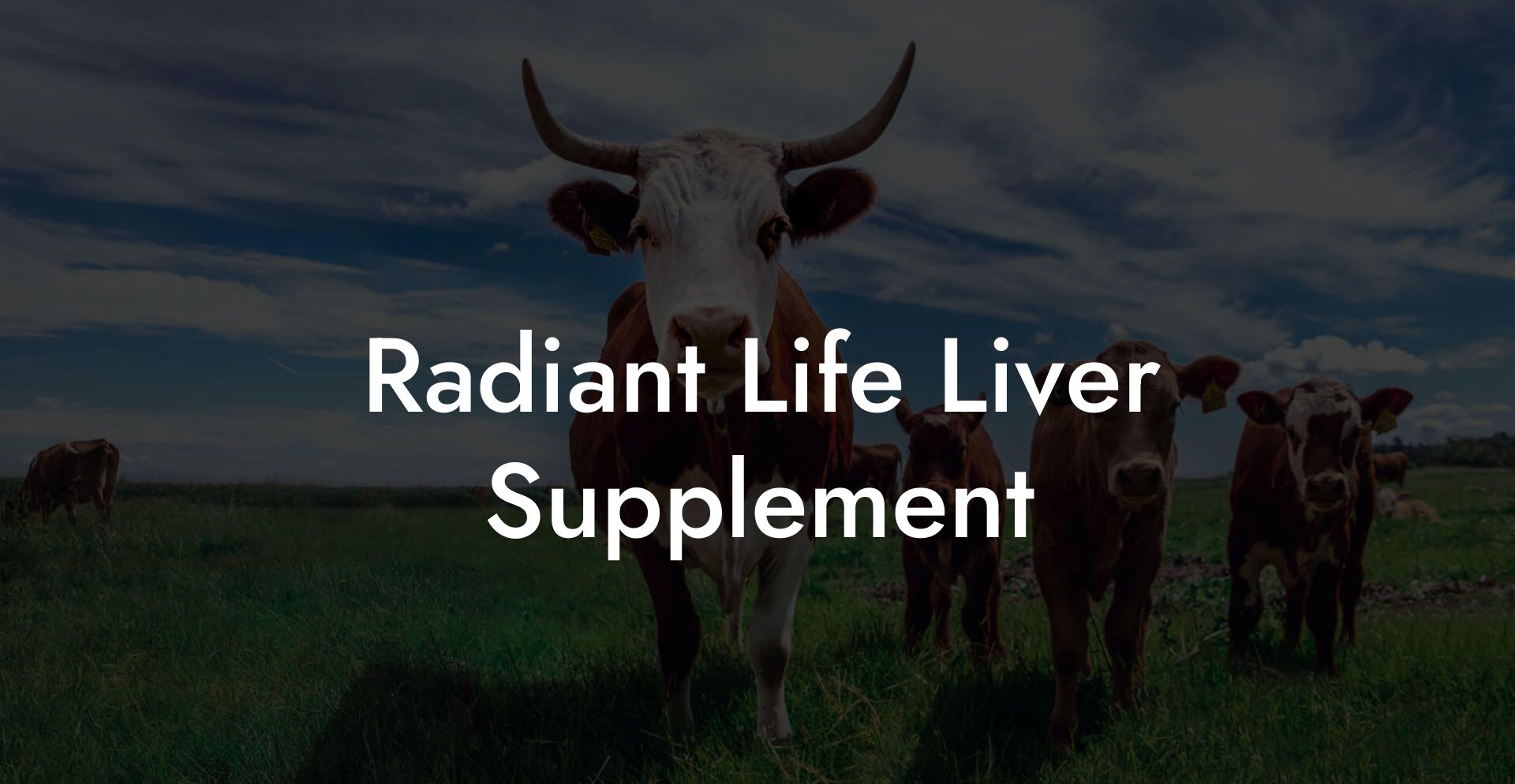 Radiant Life Liver Supplement