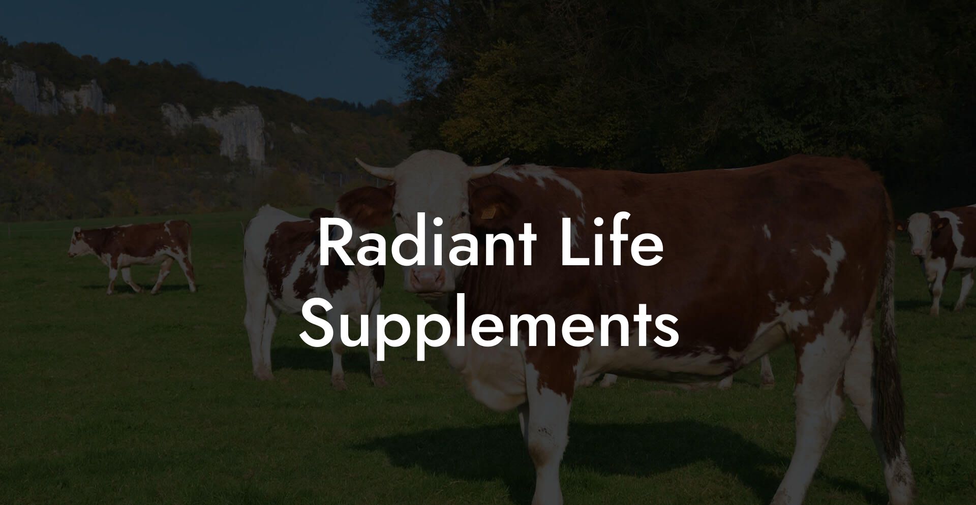 Radiant Life Supplements