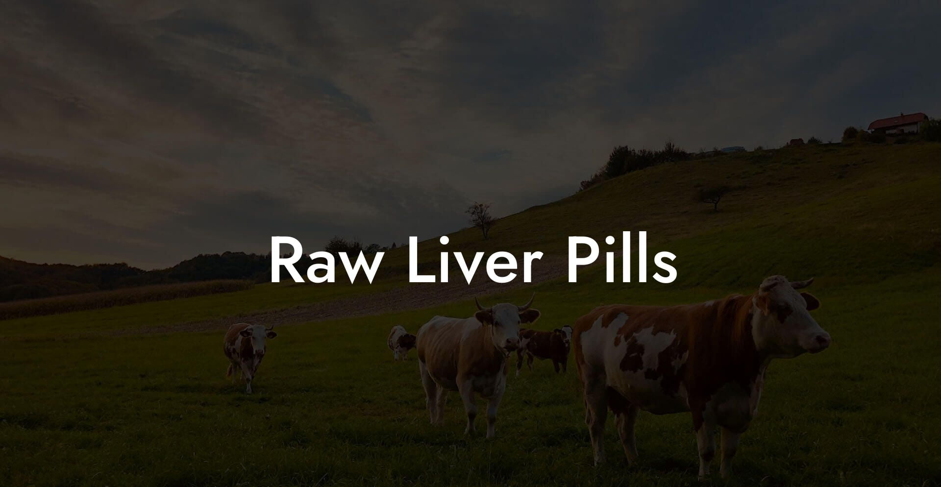 Raw Liver Pills