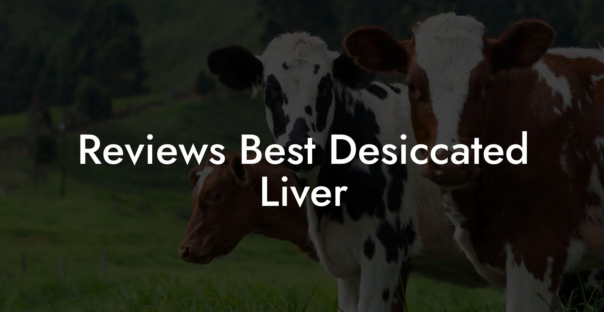 Reviews Best Desiccated Liver