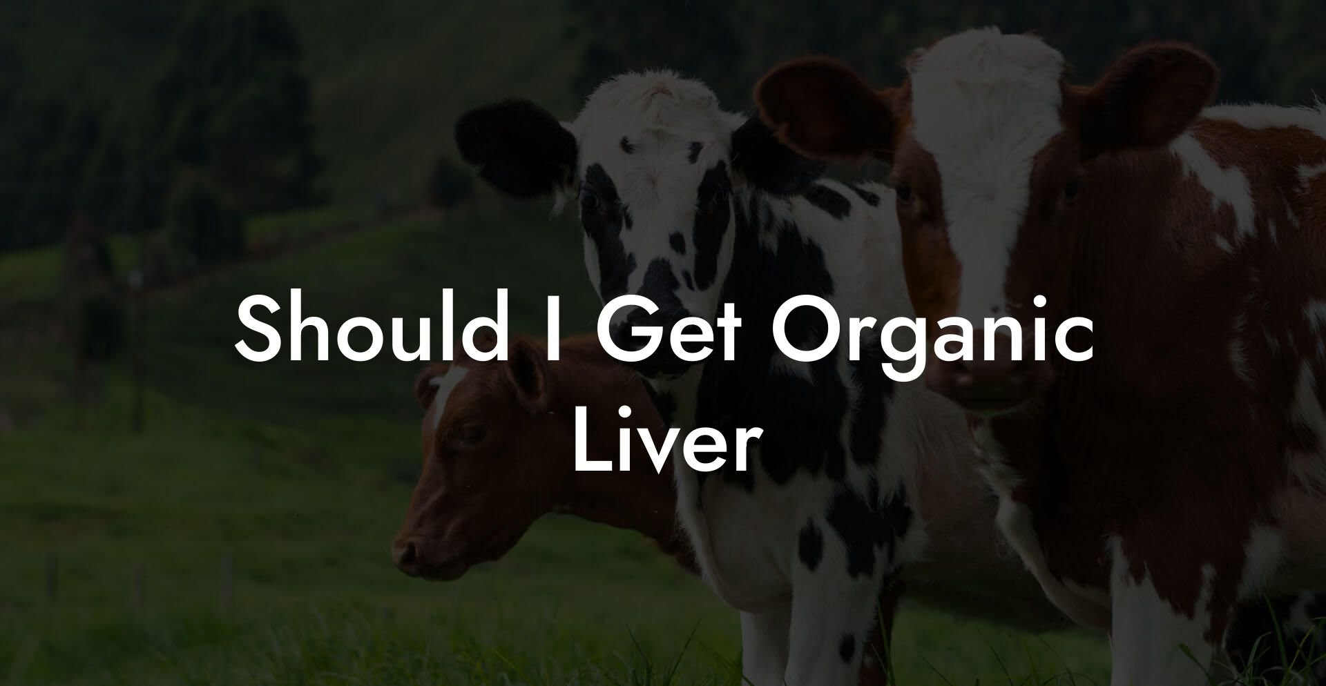 Should I Get Organic Liver