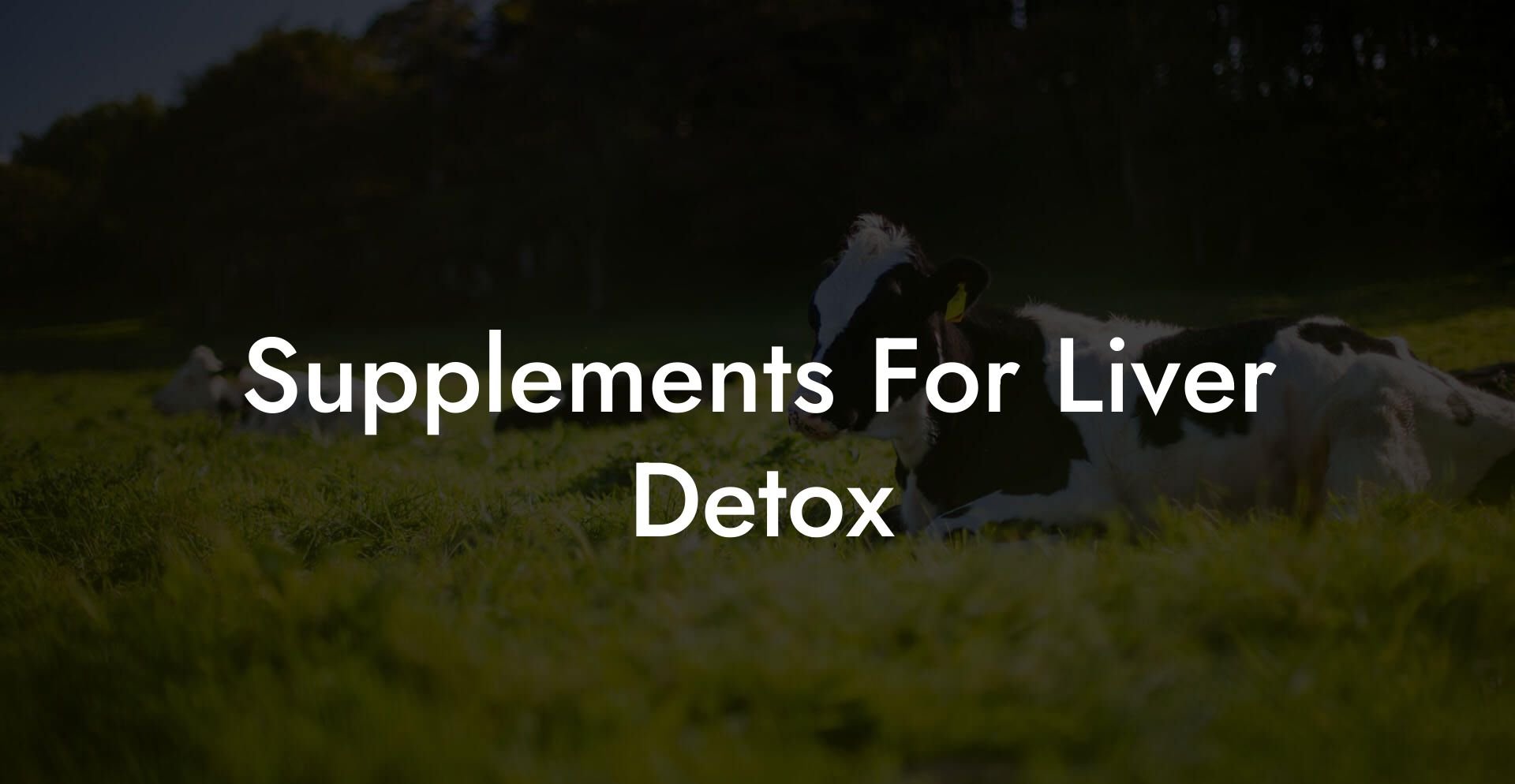 Supplements For Liver Detox
