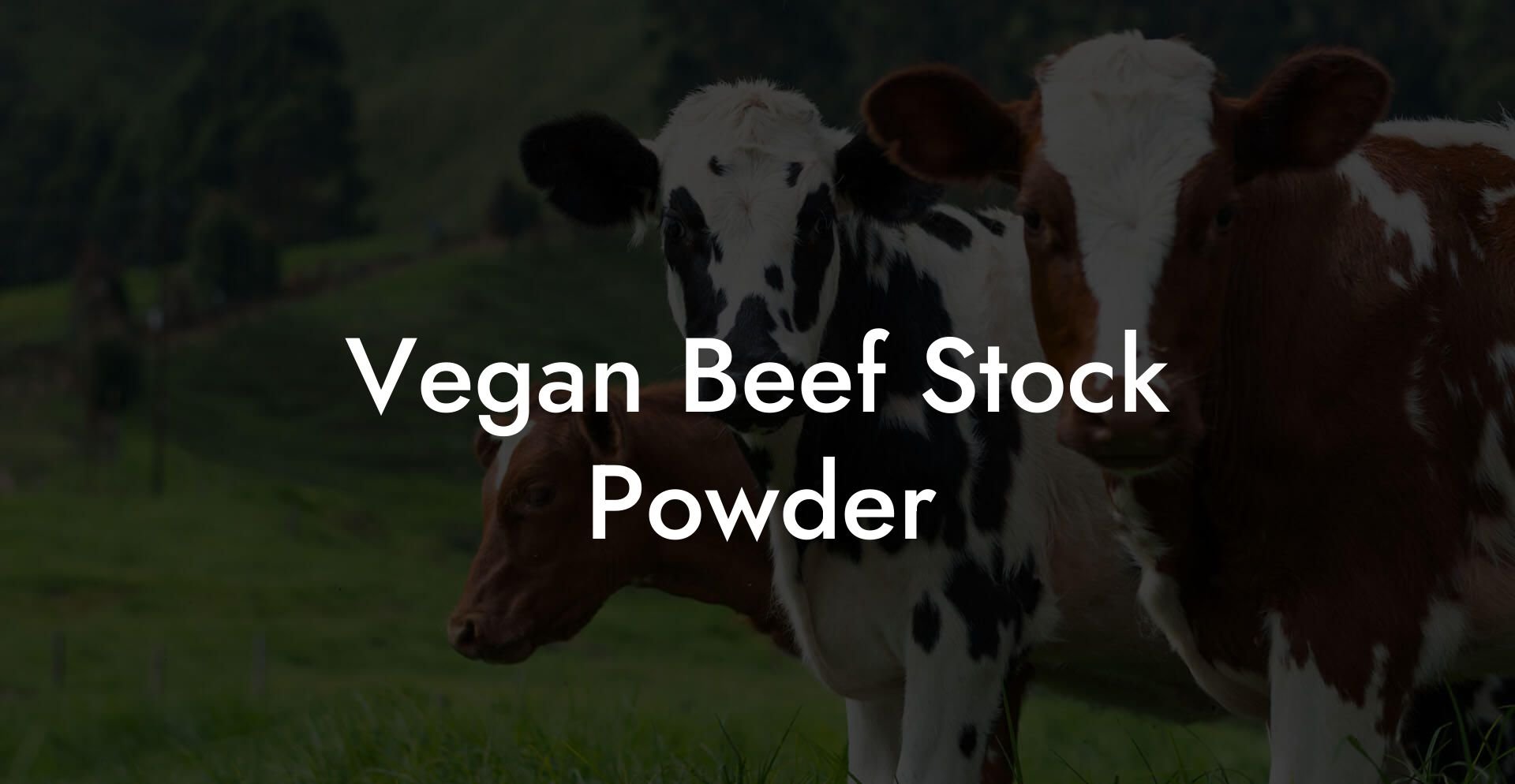 Vegan Beef Stock Powder
