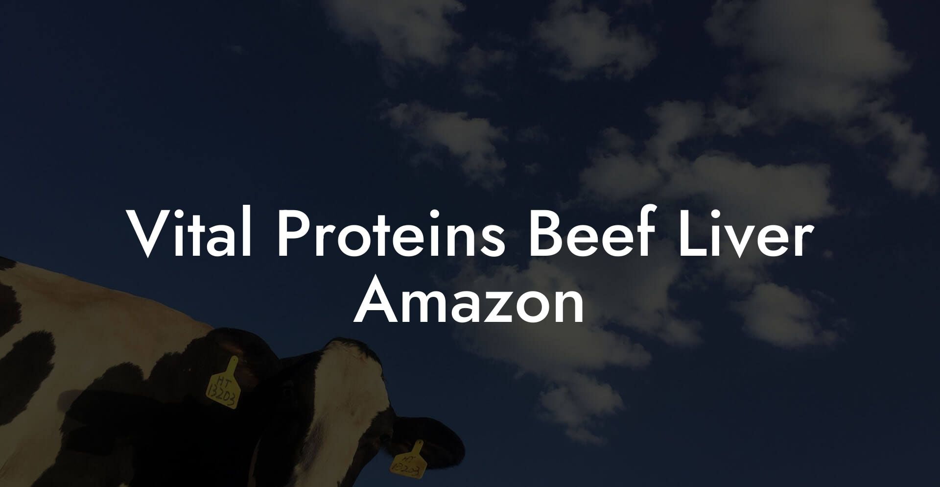Vital Proteins Beef Liver Amazon